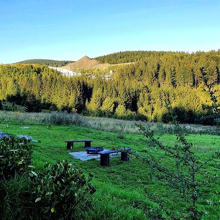 Domek Maly Czar Czarnow  Exteriör bild