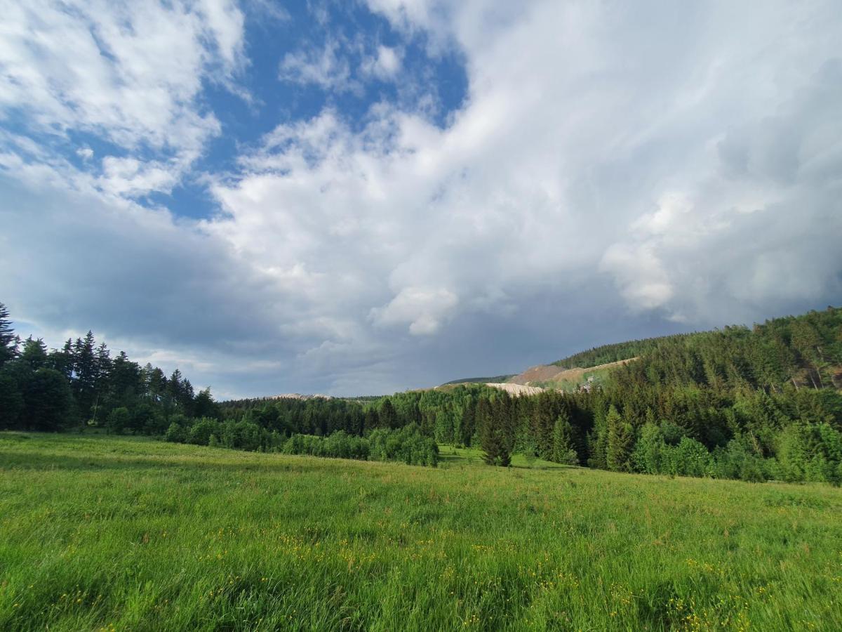 Domek Maly Czar Czarnow  Exteriör bild