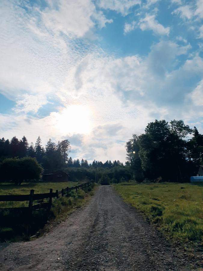 Domek Maly Czar Czarnow  Exteriör bild