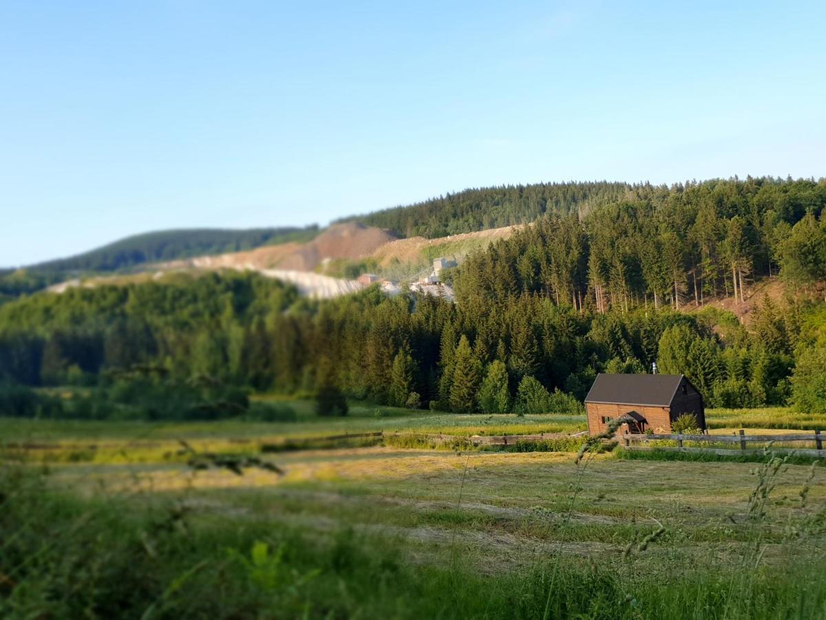 Domek Maly Czar Czarnow  Exteriör bild