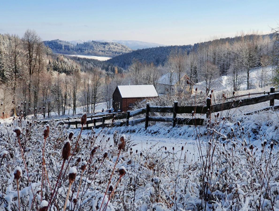 Domek Maly Czar Czarnow  Exteriör bild